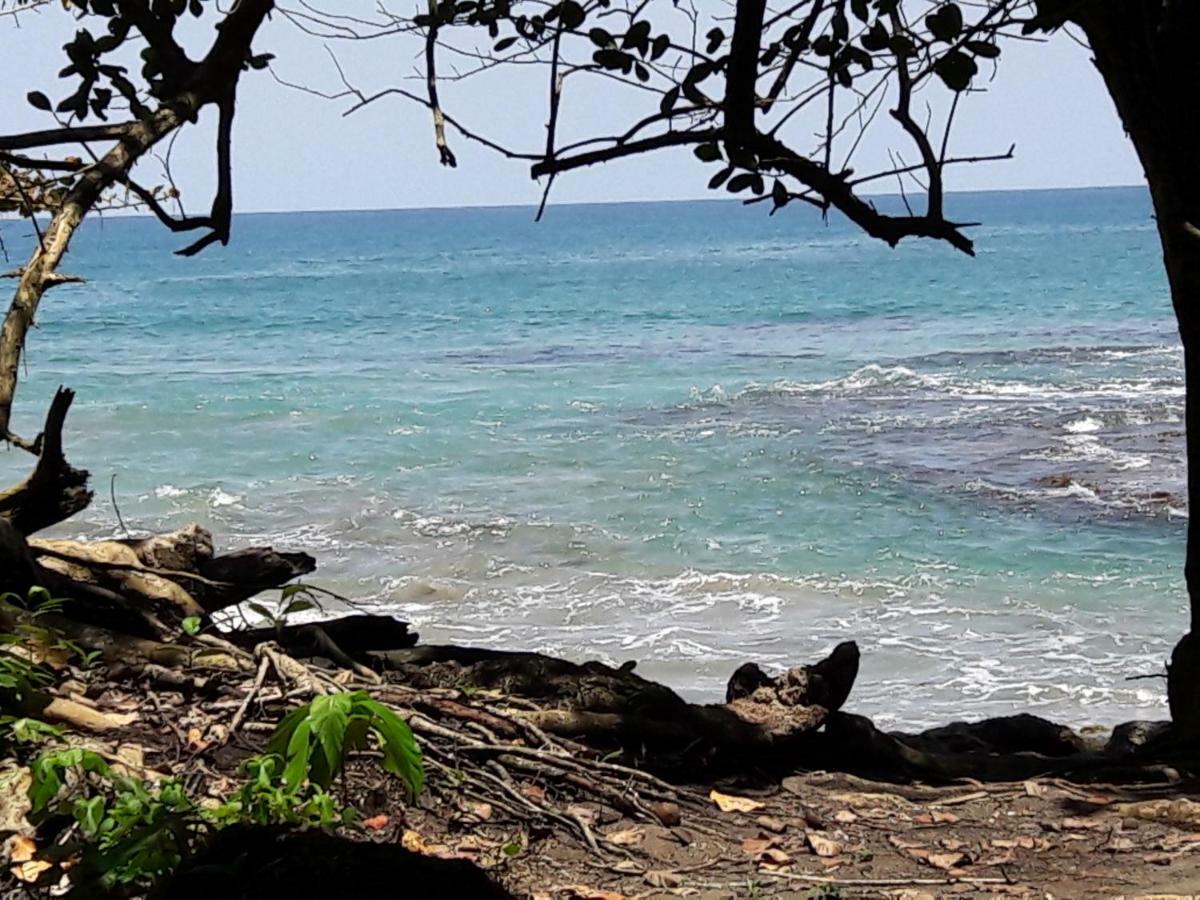 Hotel Casa Conley Del Mar Puerto Viejo de Talamanca Экстерьер фото